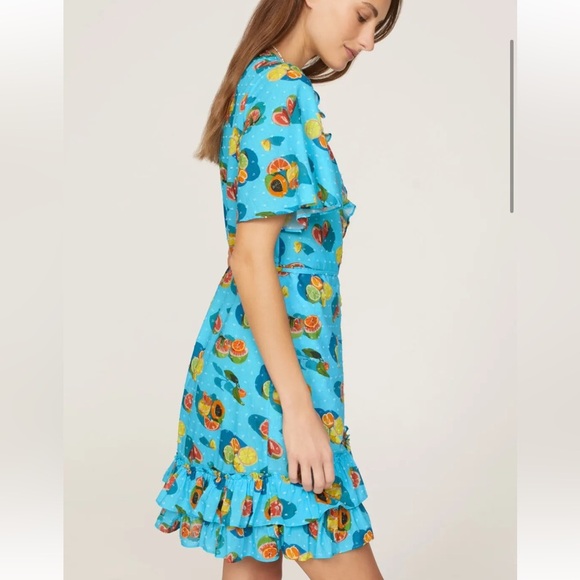Rachel Antonoff Abby Ruffle Dress Fruit Print - Picture 4 of 5